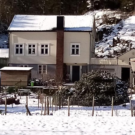 Stall Hav-Vik Farmstay Farsund Exteriér fotografie