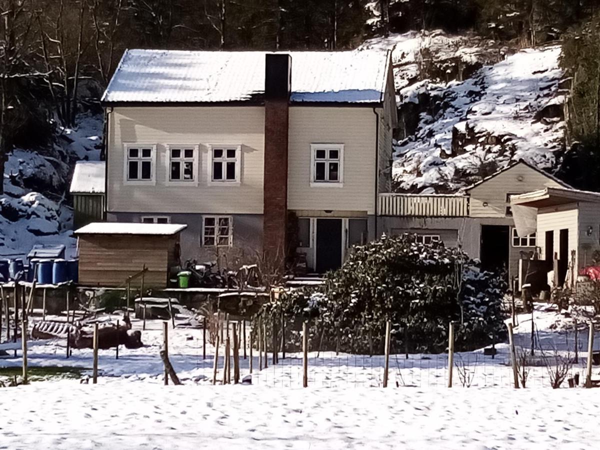 Stall Hav-Vik Farmstay Farsund Exteriér fotografie